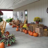 Roberta Grey's profile image