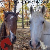 Stephen Smith's profile image