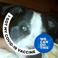 LouAnn Wilson's profile image