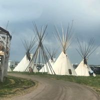 Tina Marie Bond's profile image