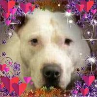 Rene Shackelford Bailey's profile image