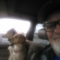 Tony Smasal's profile image