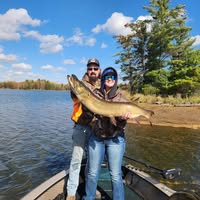 Mariah Niesen's profile image