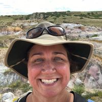 Stephanie Harr's profile image
