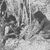 The ancient pygmies of Australia respect page's profile image