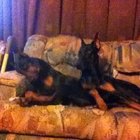 Christopher Lesperance's profile image