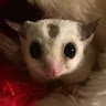 Carrie L.'s profile image