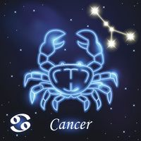 Tammy Schmitt's profile image