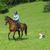 Dianne Martin's profile image
