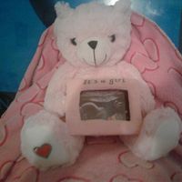 Debbie Andrews's profile image