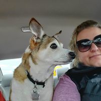 Marlee Wittke's profile image