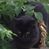Kelly Mccollum-Winston's profile image