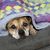 Joann Chase's profile image