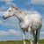 Donna Thompson's profile image