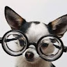 Rern Lau A.'s profile image
