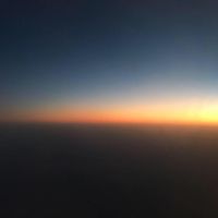 Layne Woods's profile image