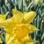 Galaxy IV photography's profile image