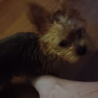 Kay Metzger's profile image