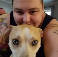Britt Lastinger's profile image