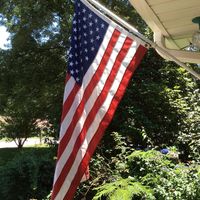 Judy McHone's profile image