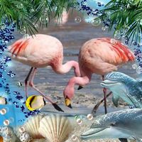 Sheri Buckelew's profile image