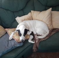 Trish McCafferty's profile image