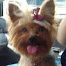 Ivonne S.'s profile image