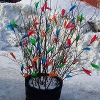 Gift Aki's profile image