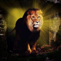 Deon Hamilton's profile image