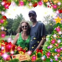 David Pearson's profile image