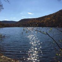 Ellen Reissman's profile image