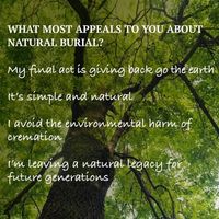 Herbalist Beuyeka's profile image