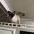Melissa Prine's profile image