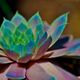 Anna Beattie's profile image