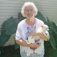 Mary Woodall's profile image
