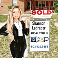 Shannon Labrador's profile image