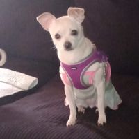 Renee Jones's profile image