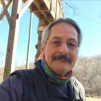 Dave Brown's profile image