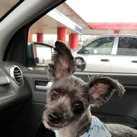 David Stump's profile image