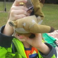 Amber Huyghe's profile image