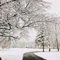 Stephanie Derek Caudill's profile image