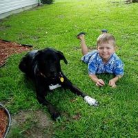 Connie Banta's profile image