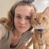 Courtney Knoch's profile image