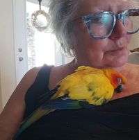 P A Alewine Toller-McKinley's profile image