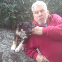 Art Berliner's profile image