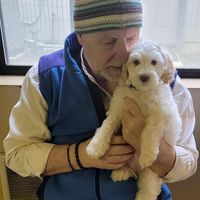 Jay Harris's profile image