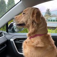 Linda Hayes's profile image