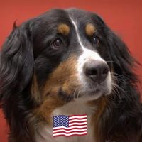 Jan Emison's profile image