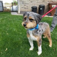 Steve Fidler's profile image