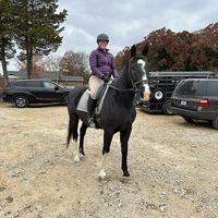 Lauren Heitman's profile image